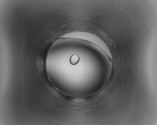 X0000114570327200910191508