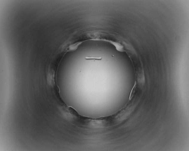 X0000114570332200910191508