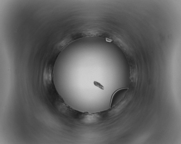 X0000114570334200910191508