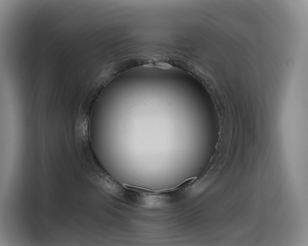 X0000114570336200910191508