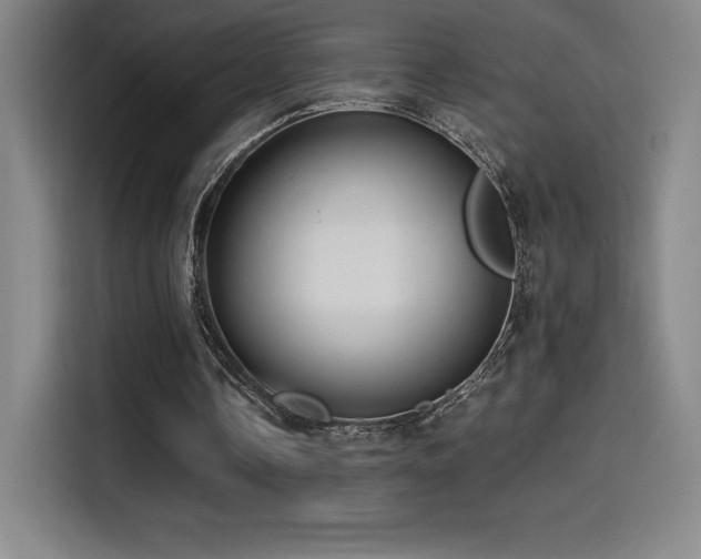 X0000114570338200910191507