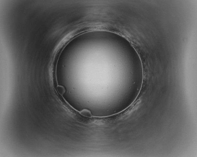 X0000114570341200910191507