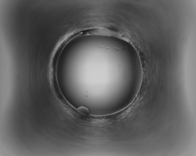 X0000114570342200910191507