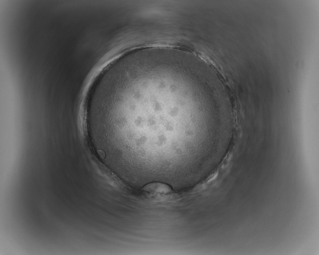 X0000114570343200910191507