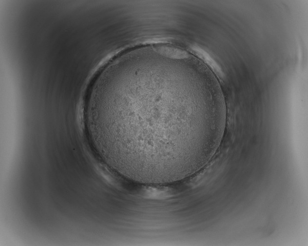 X0000114570346200910191507