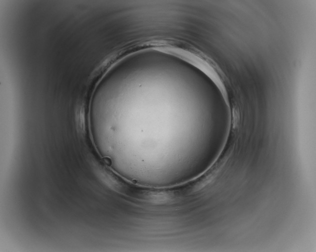 X0000114570349200910191508