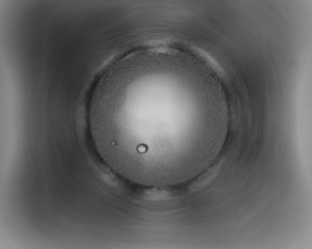 X0000114570354200910191508