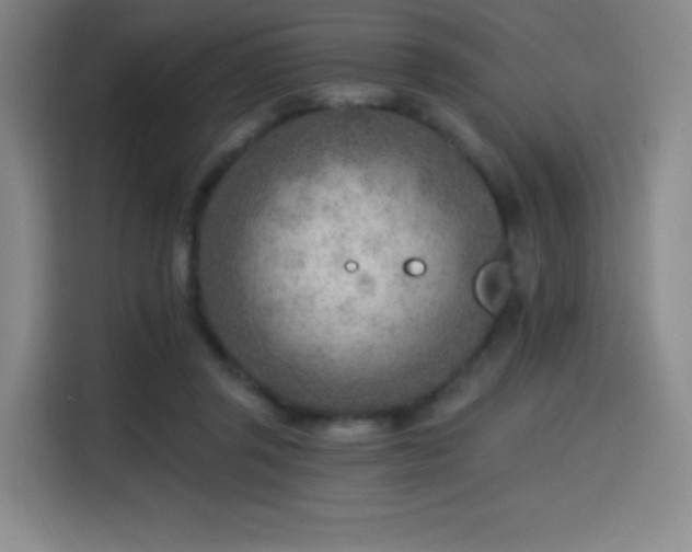 X0000114570357200910191508