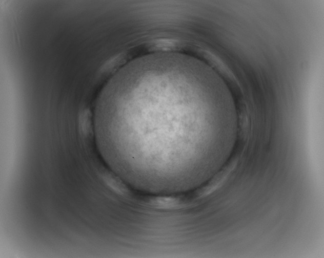 X0000114570361200910191508