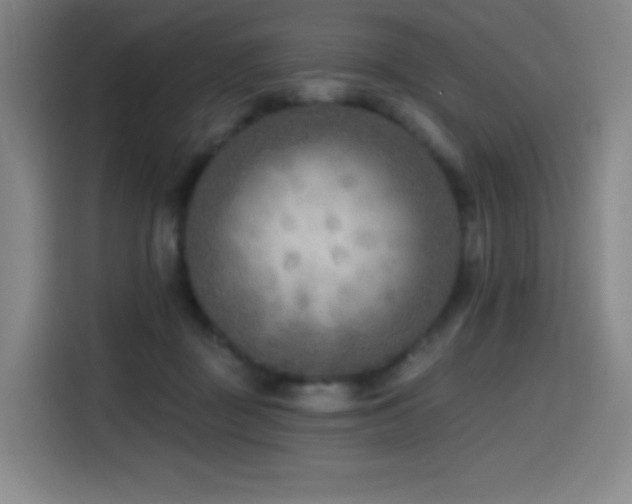 X0000114570363200910191508