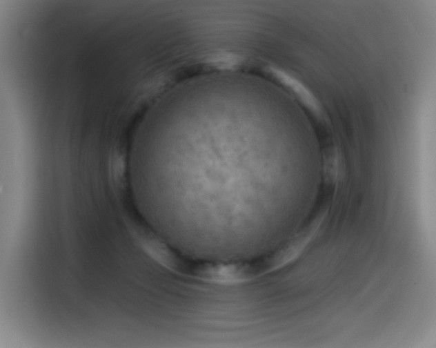 X0000114570365200910191508