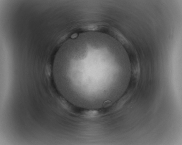 X0000114570374200910191508