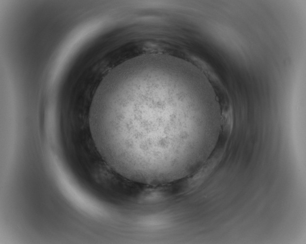 X0000114570381200910191508