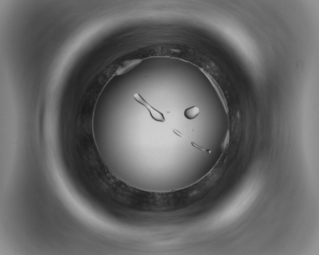 X0000114570383200910191508