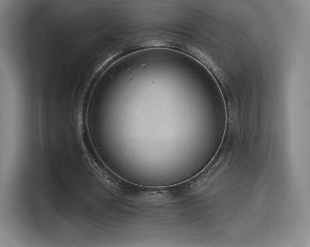 X0000114570386200910191507