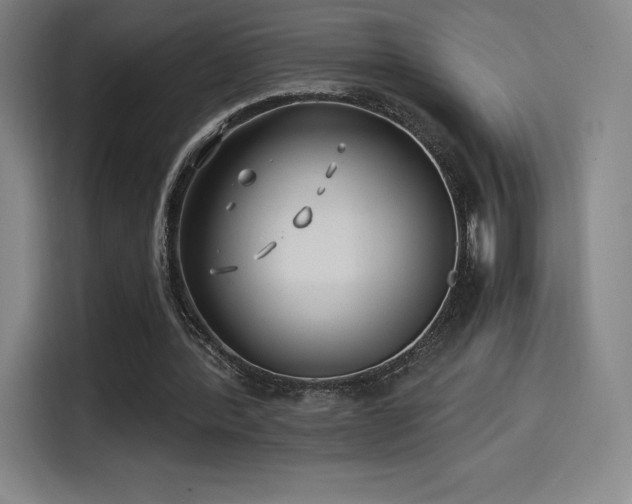 X0000114570388200910191507