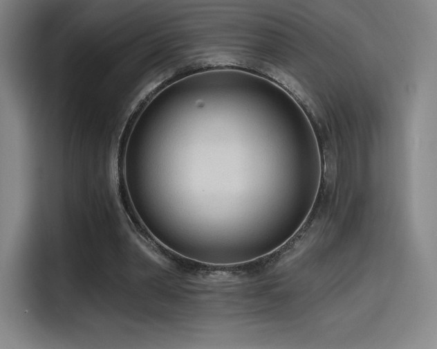 X0000114570390200910191507