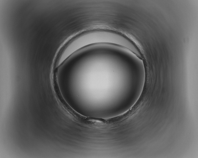 X0000114570391200910191507