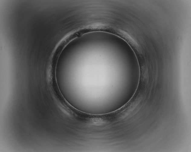 X0000114570392200910191507