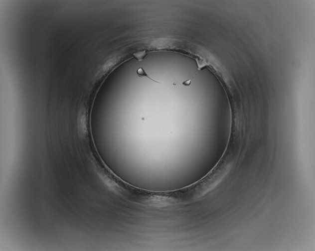 X0000114570393200910191507