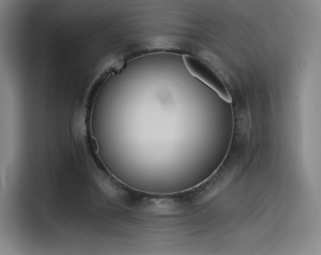 X0000114570395200910191507