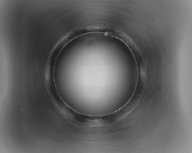 X0000114570396200910191507