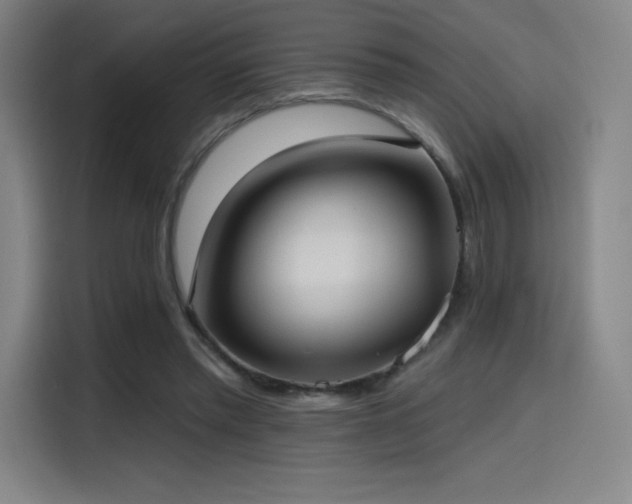 X0000114570397200910191507