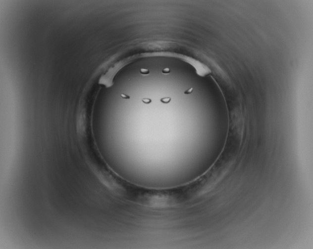 X0000114570400200910191507