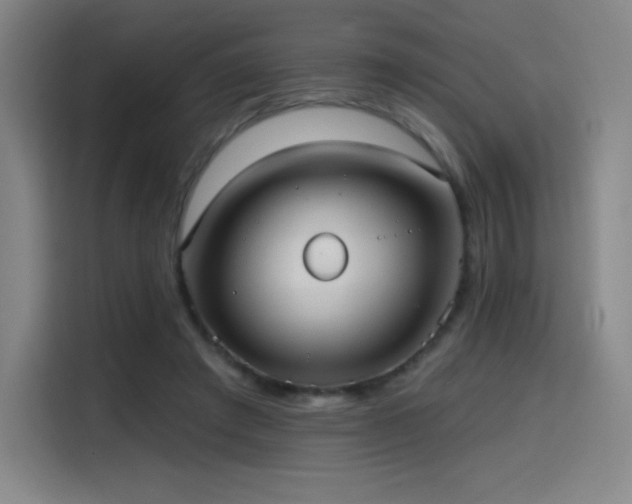 X0000114570401200910191507