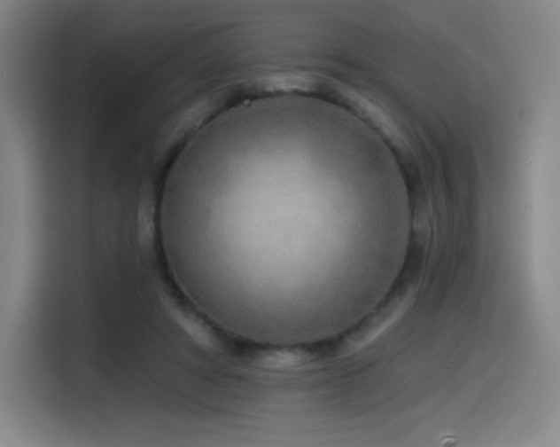 X0000114570402200910191507