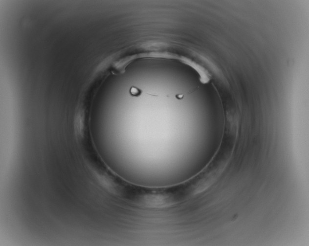 X0000114570404200910191507