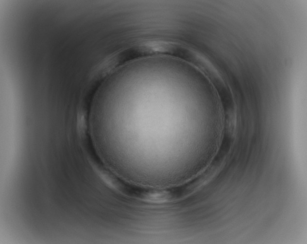 X0000114570410200910191507