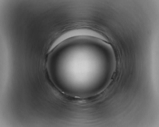 X0000114570411200910191507