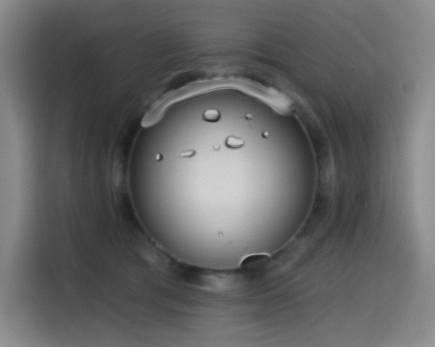 X0000114570417200910191507