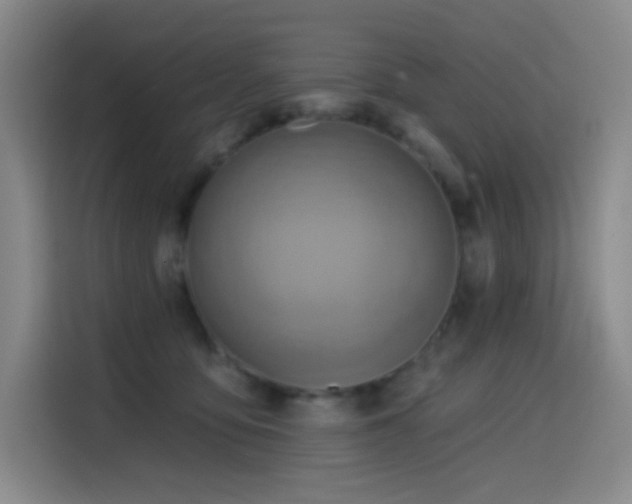 X0000114570419200910191507