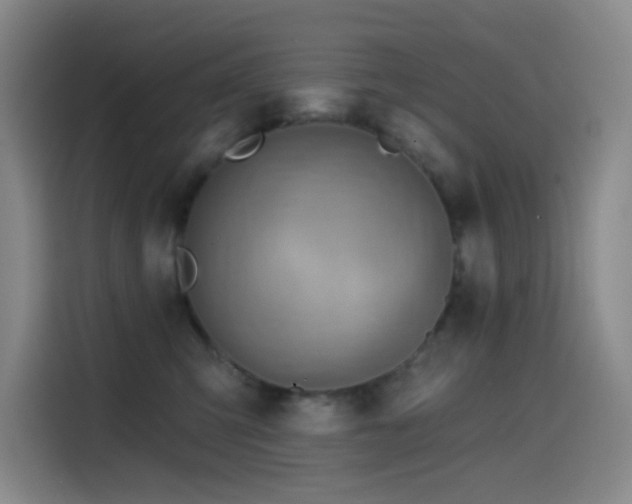 X0000114570423200910191507