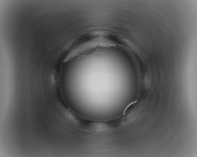 X0000114570424200910191507