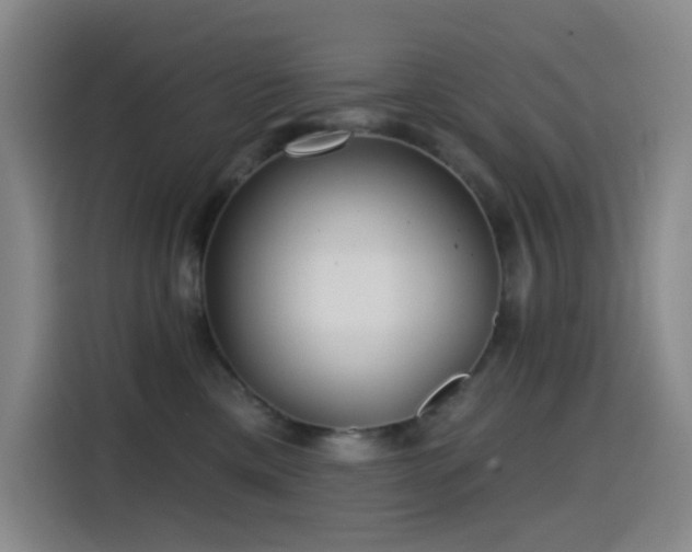 X0000114570425200910191507