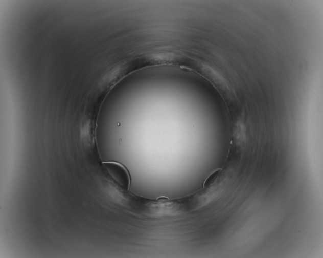 X0000114570428200910191507