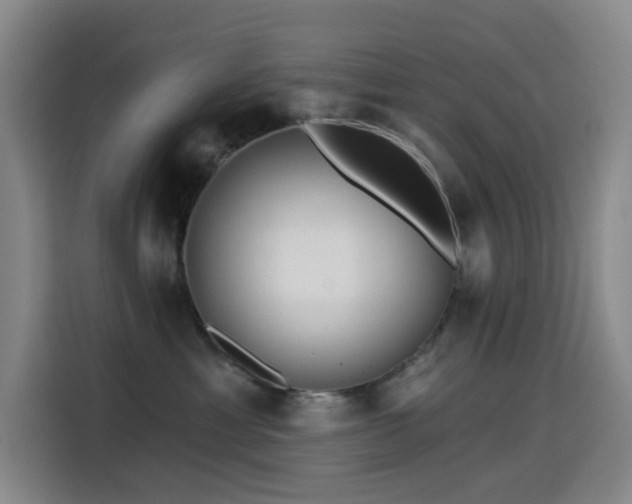 X0000114570429200910191507