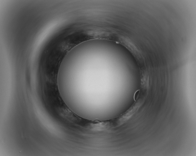 X0000114570430200910191507