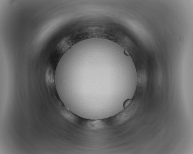 X0000114570431200910191507