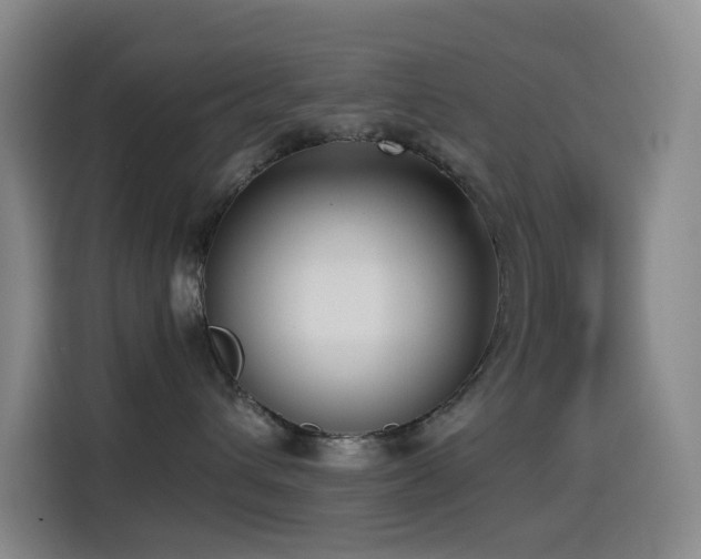 X0000114570432200910191507