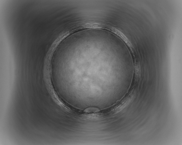 X0000114570433200910191506