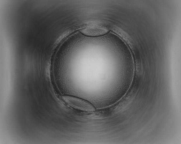 X0000114570434200910191506