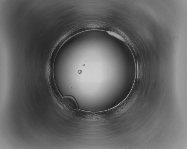 X0000114570435200910191506