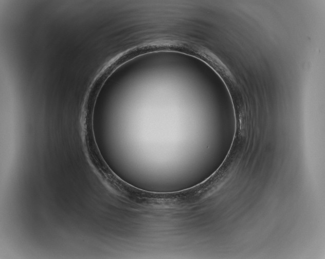 X0000114570436200910191506