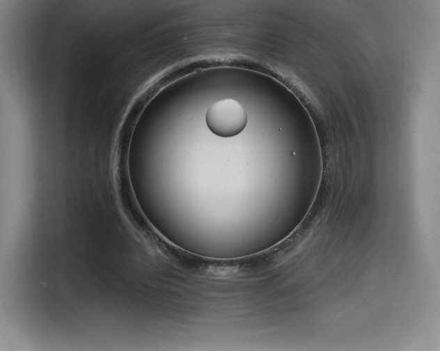 X0000114570440200910191506