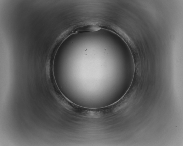 X0000114570442200910191506