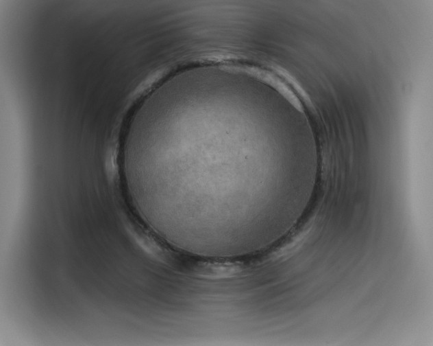 X0000114570443200910191506